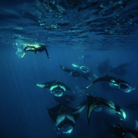 Soneva - Diving Snorkeling