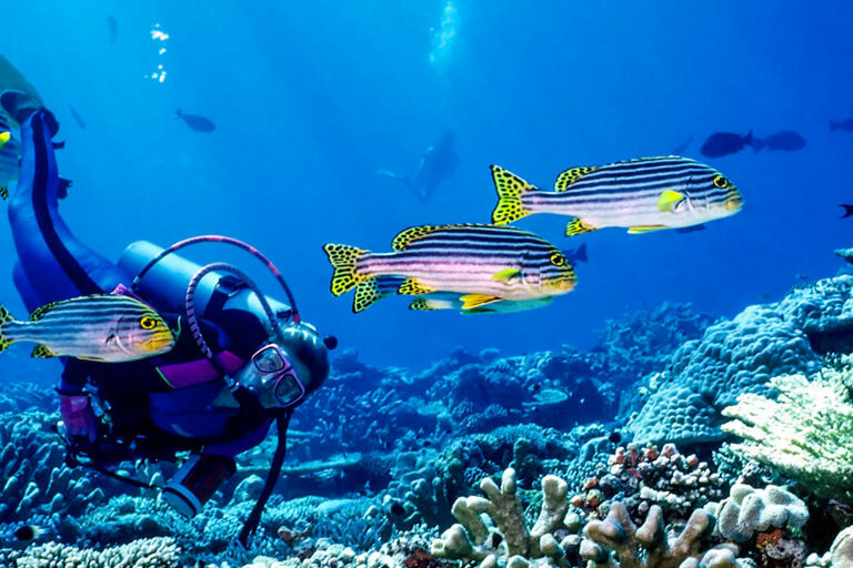 Marine Diving Awards go to Maldives in Two Categories