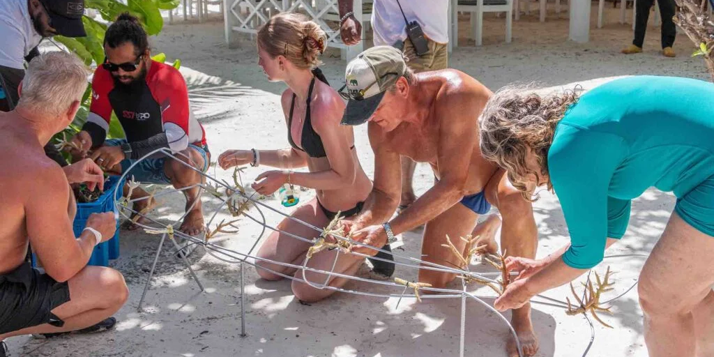 Environment Week at Canareef Resort Maldives shows dedication to nature in Maldives Environment Week at Canareef Resort Maldives shows dedication to nature in Maldives