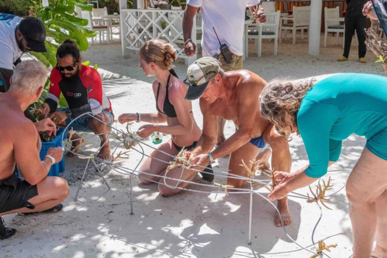 Environment Week at Canareef Resort Maldives shows dedication to nature in Maldives