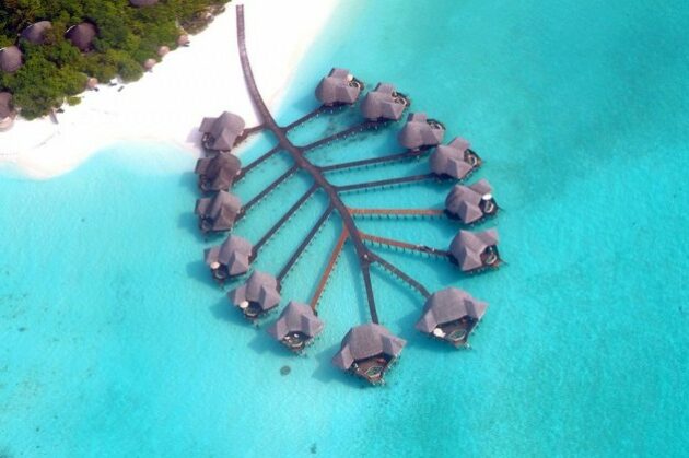 Coco Collection resort Coco Palm Dhuni Kolhu Maldives from above