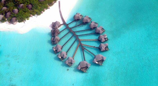 Coco Collection resort Coco Palm Dhuni Kolhu Maldives from above