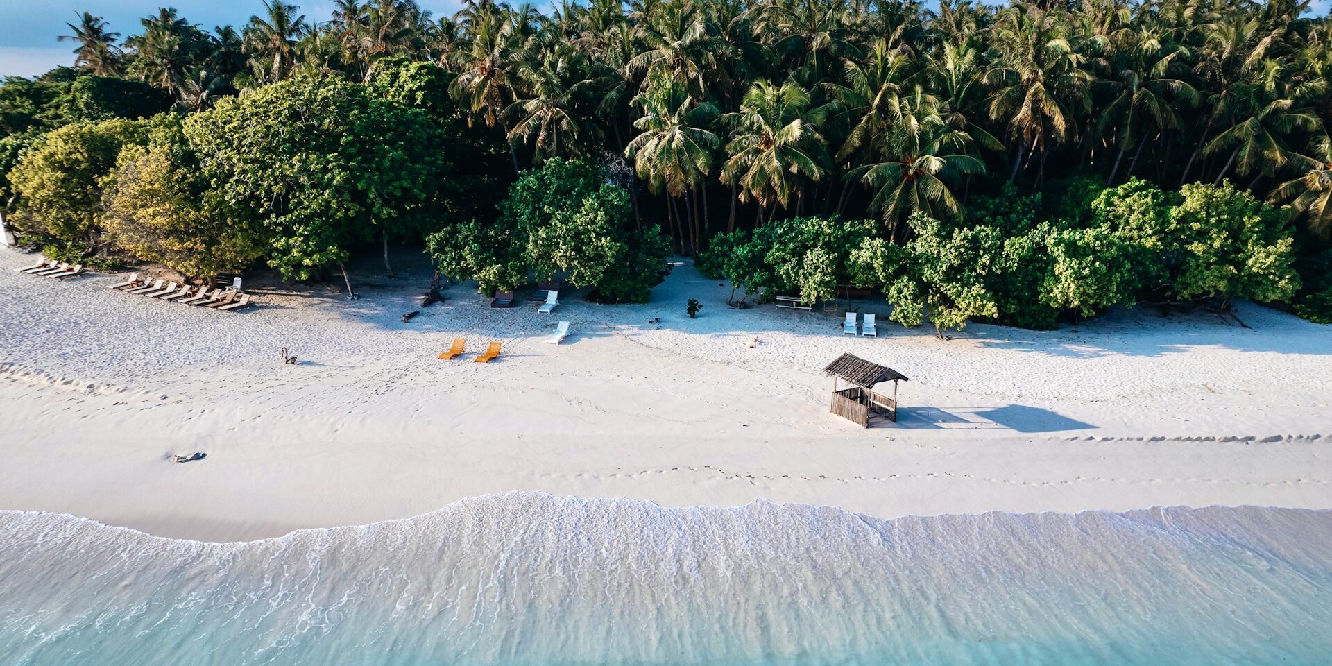 Maldives Declaration Form Removed for Departure Guests. Photo Credit: Aly Photography via Unsplash Maldives Declaration Form Removed for Departure Guests. Photo Credit: Aly Photography via Unsplash