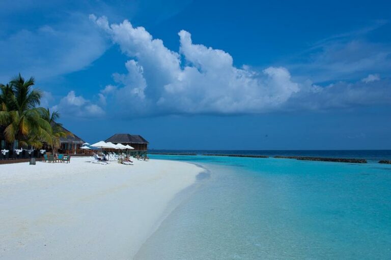 Nova Maldives' Innovative Coral Nursery. Photo Credit: maldivesholidayoffers.com via Google Images