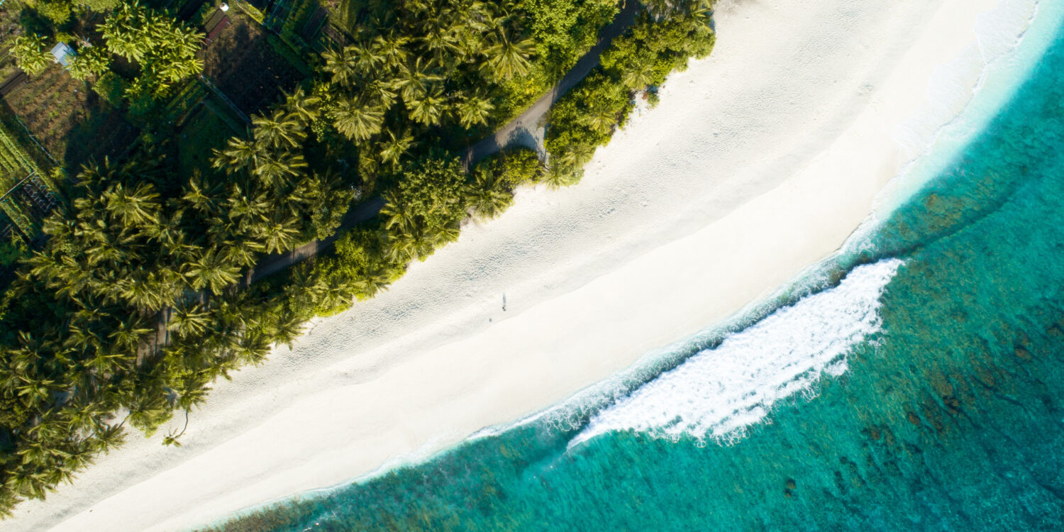 Training Resort in Maldives Advancing Tourism Development. Photo Credit: wirestock via Freepik