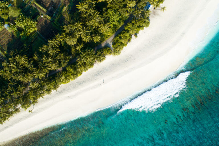 Training Resort in Maldives Advancing Tourism Development. Photo Credit: wirestock via Freepik