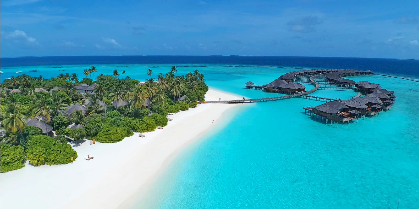 Coral Restoration Project Launched by Sun Siyam Iru Fushi. Photo Credit: maldives-magazine.com via Google Images