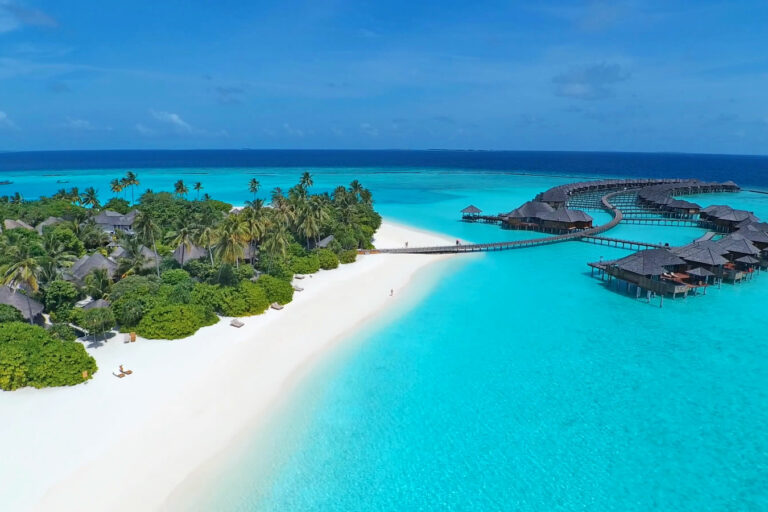 Coral Restoration Project Launched by Sun Siyam Iru Fushi. Photo Credit: maldives-magazine.com via Google Images